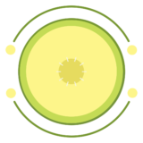 Print Melon  Print on Demand