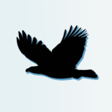 Adeagle: Get Traffic  AI Ads