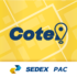 CED  Facebook Feed & Ads