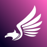 AV TikTok Pixel Facebook Pixel