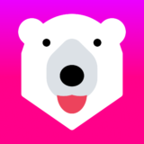 Currency Converter Bear